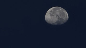 A close view of the moon against a dark blue night sky.