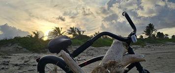 Una bicicleta de playa apoyada en un tronco de madera a la deriva al atardecer, con el sol bajando entre palmeras y nubes dramáticas al fondo.